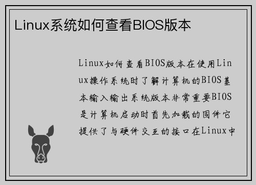 Linux系统如何查看BIOS版本