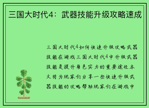 三国大时代4:武器技能升级攻略速成