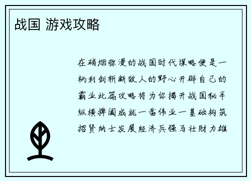 战国 游戏攻略